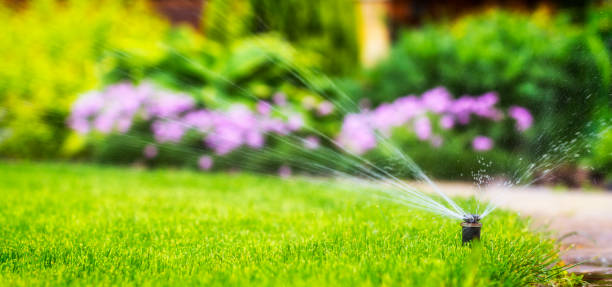 sistema di irrigazione automatico annaffiando il prato - formal garden flower bed lawn ornamental garden foto e immagini stock
