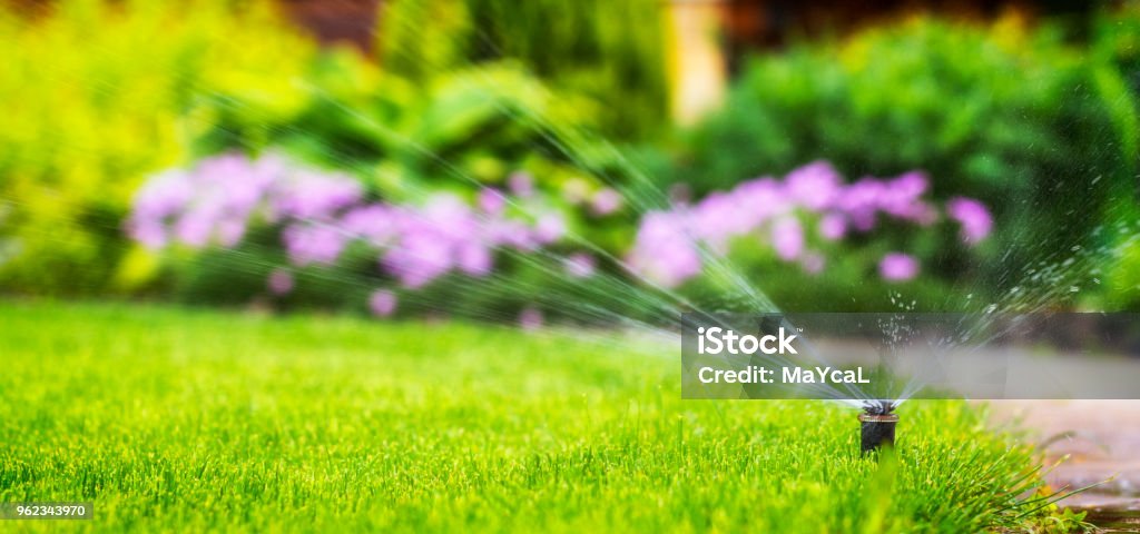 automatic sprinkler system watering the lawn automatic sprinkler system watering the lawn on a background of green grass, close-up Sprinkler Stock Photo