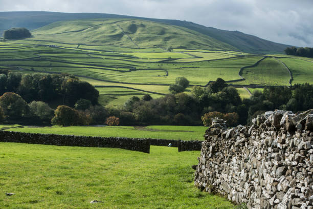 istock dales and dry stone wall and hills and sheep 962344810