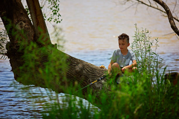 young boy is fishing while sitting on a tree branch over a river - ticket ticket stub park fun imagens e fotografias de stock
