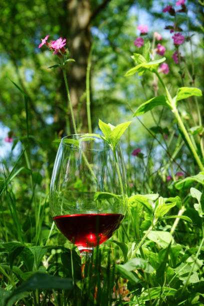 a glass of red wine photografed outdoor