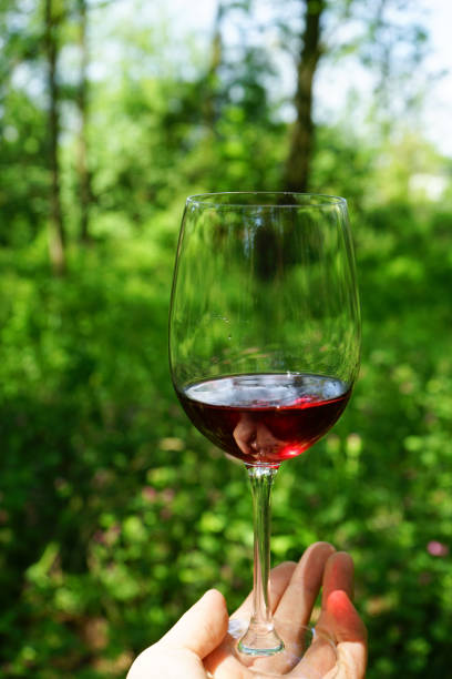 istock red wine - stock images 962352078