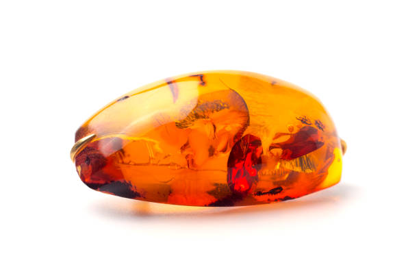 Amber brooch isolated on white background.