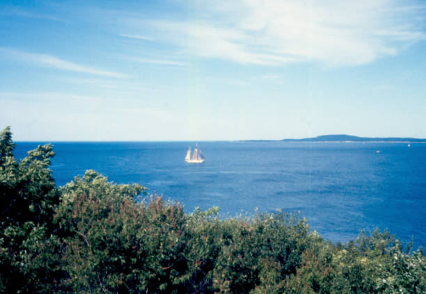 istock Windjammer in Frenchmans Bay 962358974