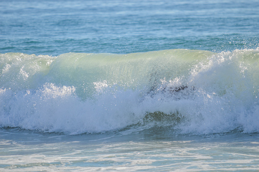 Surfing in Manhattan Beach, CA