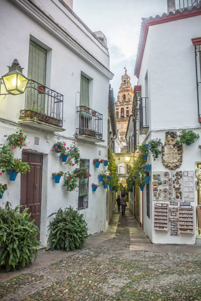 istock Flower Alley in Cordoba 962382360