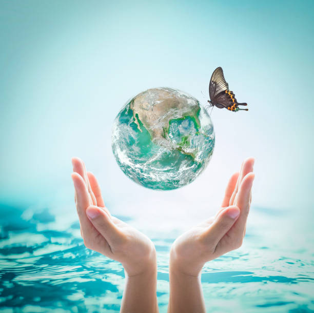 istock World ocean day, saving water, environmental protection, sustainable ecological ecosystems concept with green earth on woman's hands on sea background: Element of this image furnished by NASA 962387578