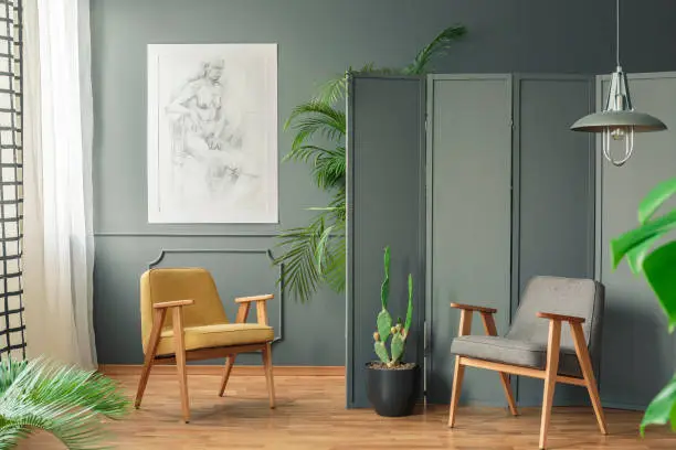 Two chairs standing standing on a wooden floor in a grey room next to a screen and plants around them with a drawing on a wall in botanic room interior