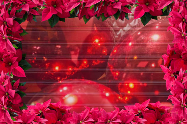 Red poinsettia Christmas flower frame background and blur of red ornaments on corrugated texture copy space.