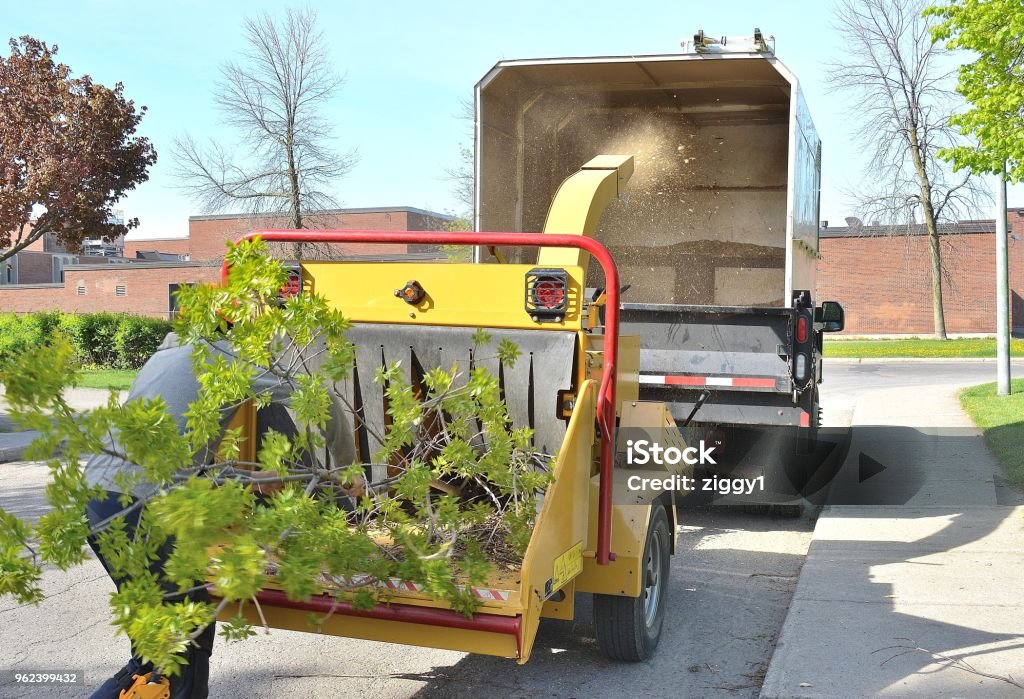 Nature,"Emerald Ash Borer, Feeding the Wood Chipper" Nature... In this shot, we see a worker feeding infected tree limbs into a wood chipper. Notice the two dead ash trees behind the truck. They too will shortly be cut down, chipped, and be disposed of. Wood Chipper Stock Photo
