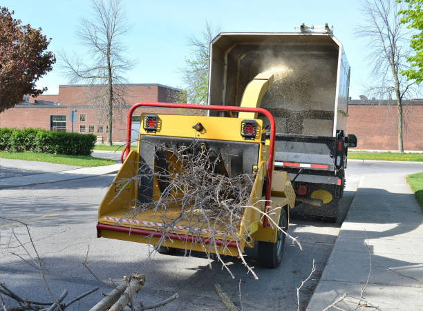 nature, » agrile du frêne, le bois chipping machine » - broyeur de branches photos et images de collection