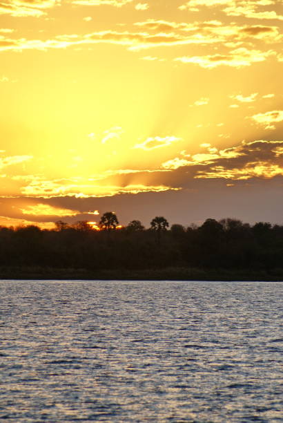 istock Sunset on the Zambezi River 962407536