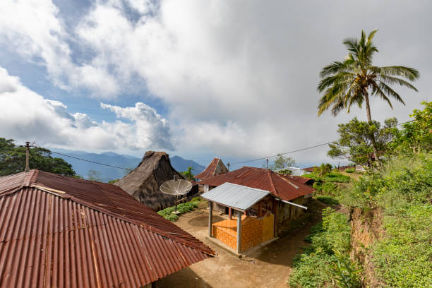istock New and Tradtional houses in Pemo 962420192