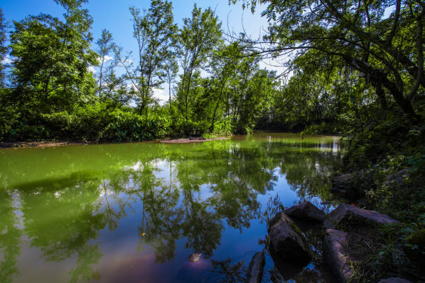 istock Blue sky and white clouds, rural calm river and surrounding trees 962420886