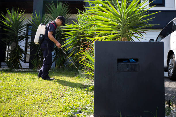 Pest Control Worker Spraying Pesticide