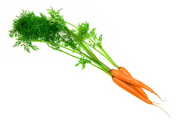 marchew - carrot isolated bunch baby carrot zdjęcia i obrazy z banku zdjęć