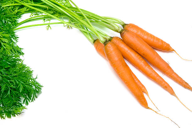 marchew - carrot isolated bunch baby carrot zdjęcia i obrazy z banku zdjęć