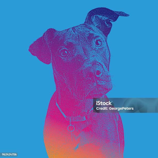 Labrador Retriever Mixedbreed Hoping To Be Adopted Stock Illustration - Download Image Now