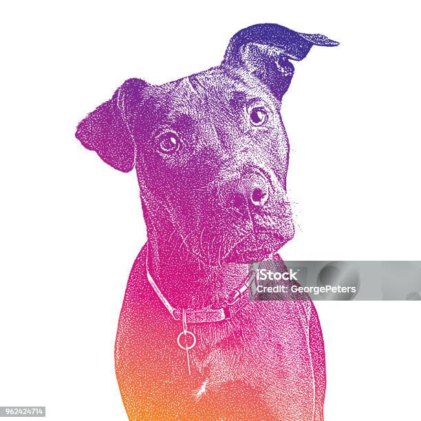 Labrador Retriever Mixedbreed Hoping To Be Adopted Stock Illustration - Download Image Now