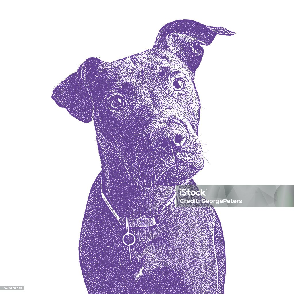 Labrador Retriever Mixed-breed hoping to be adopted Labrador Retriever Mixed-breed puppy dog hoping to be adopted Animal stock vector