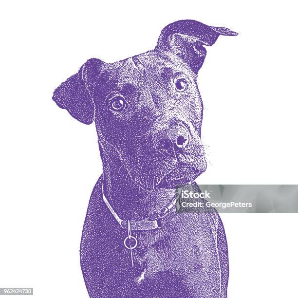 Labrador Retriever Mixedbreed Hoping To Be Adopted Stock Illustration - Download Image Now