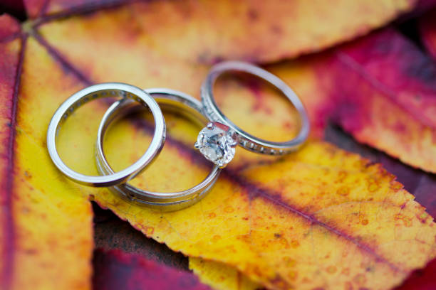 Wedding rings in fall foliage stock photo