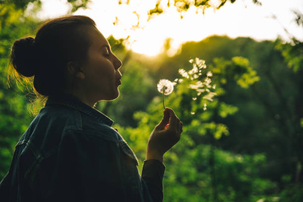 istock woman blowing dandelion on sunset. copy space 962431106