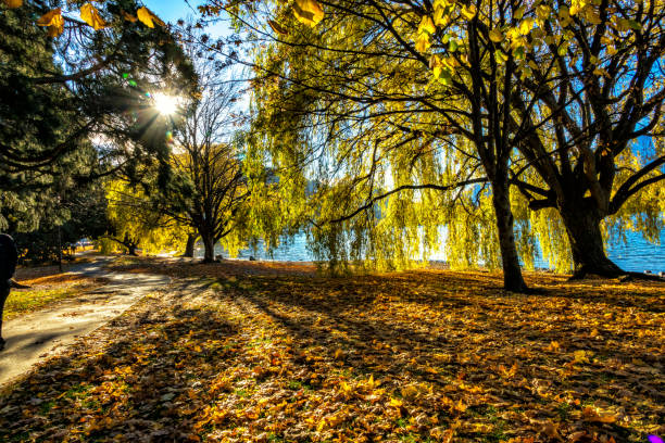 istock The lake Wakatipu with colourful trees 962435530