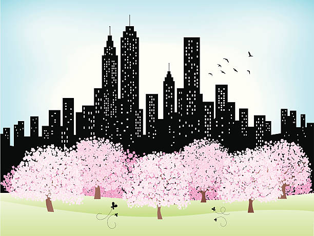 illustrations, cliparts, dessins animés et icônes de en été, la ville et le parc de printemps avec des arbres ciel éclatant, - wall street illustrations
