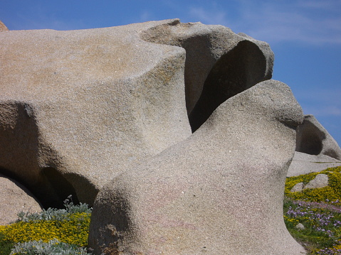 Rocas de granito con la vegetación mediterránea, Capo Testa, Santa Teresa Gallura, Italia photo