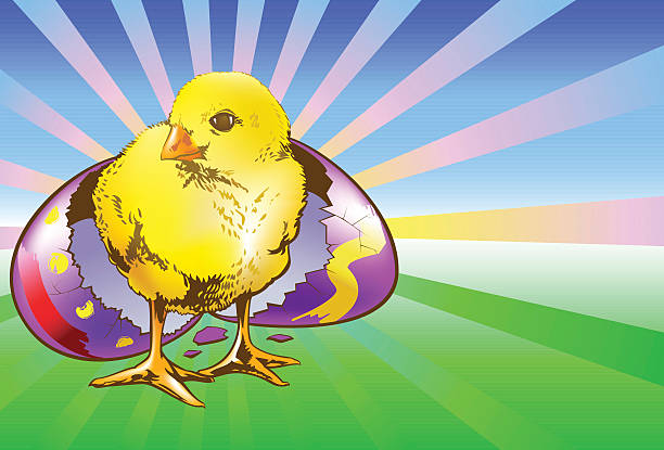 Birth Of A Easter Baby Chick vector art illustration
