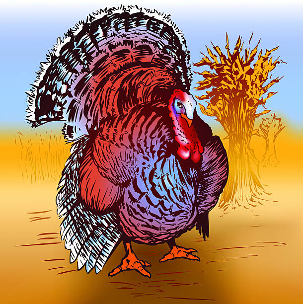 Thanksgiving Tom Turkey vector art illustration