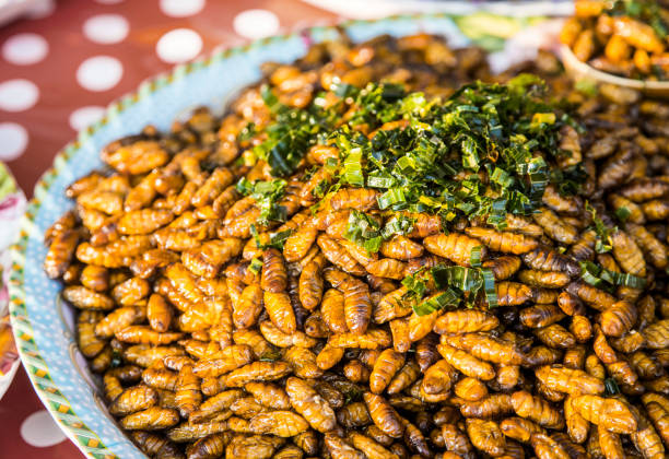 istock fried larva fried with bergamotte. 962447288
