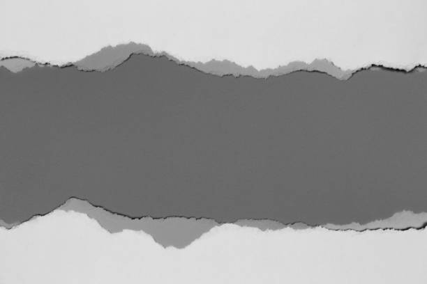 istock white torn paper on gray background. collection paper rip 962447830