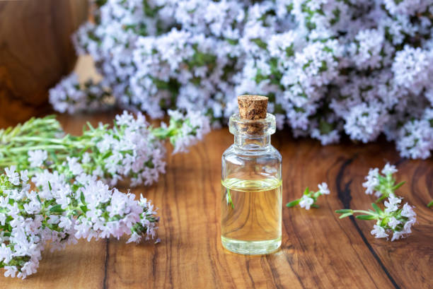 istock A bottle of thyme essential oil with fresh blooming thyme 962451542