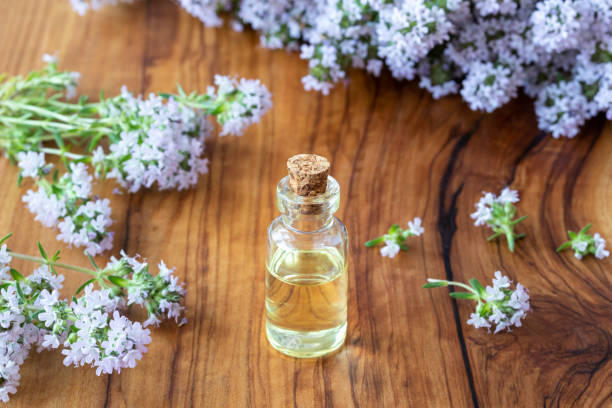 istock A bottle of thyme essential oil with fresh blooming thyme 962451580
