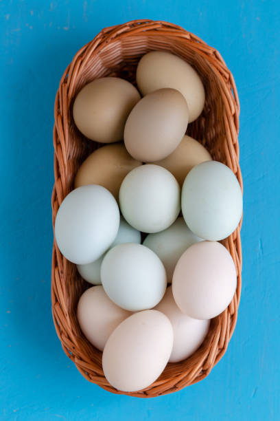 istock Colourful eggs white, green, blue, placed in woven wicker basket 962454716