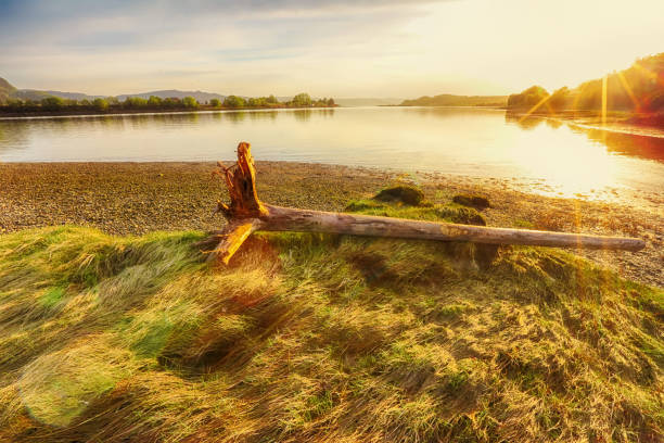 istock Nature reserve Leinoera 962455238
