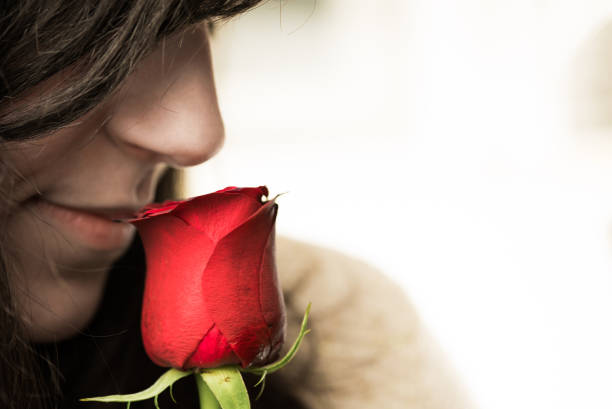 istock Scent of a Rose 962464326