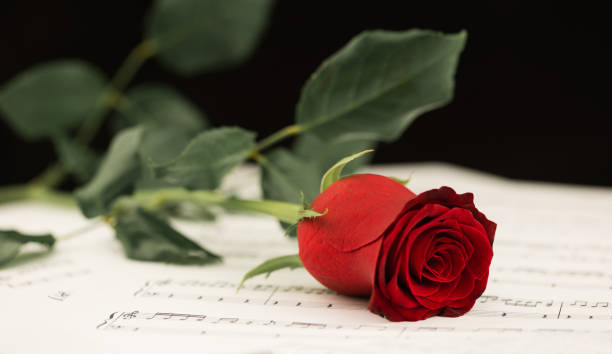 istock Red Rose on Music Sheet 962465528