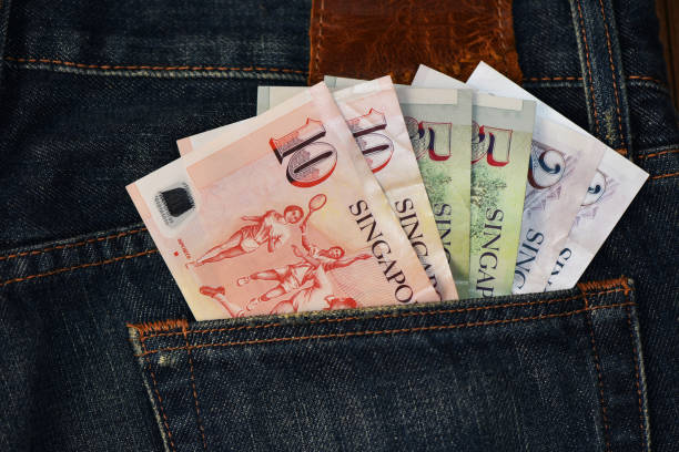 Singapore Currency Notes in jeans back pocket Singapore currency notes in the Jeans back pocket represents the Income, Cash flow etc. singapore cash stock pictures, royalty-free photos & images