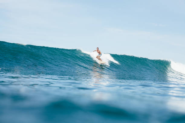 istock young sportsman surfing on sunny day 962475348