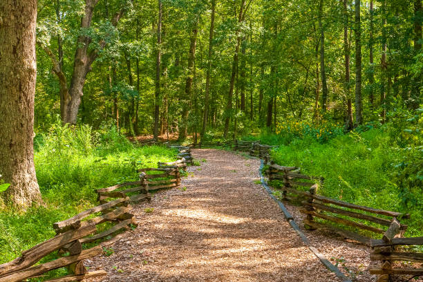 istock Wooded Trail Between Fences 962485786
