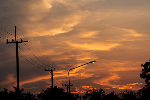 Sunset in the park with electricity post.