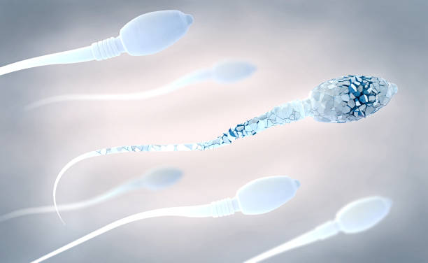 3d illustration of white damaged sperm cells swimming to the right stock photo