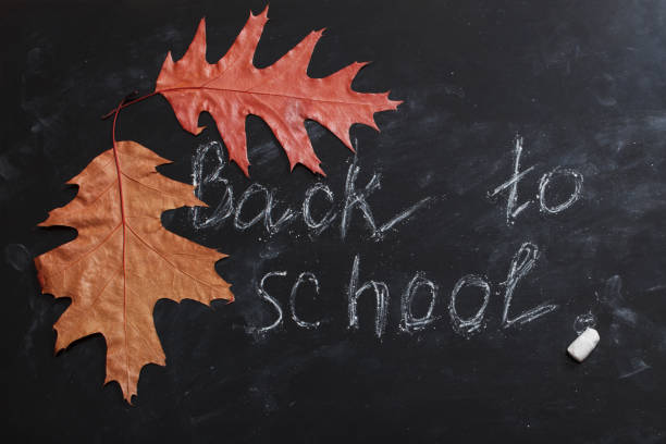 istock black blackboard with autumn leaves 962491198