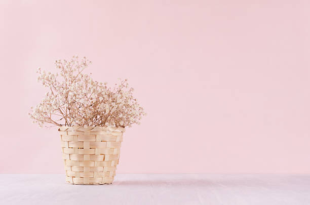 istock Small white dried flowers in beige wicker basket on soft pink pastel background. Fresh light gentle background. 962491656