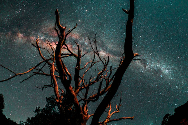 istock The Milky Way in the Southern Hemisphere 962516902