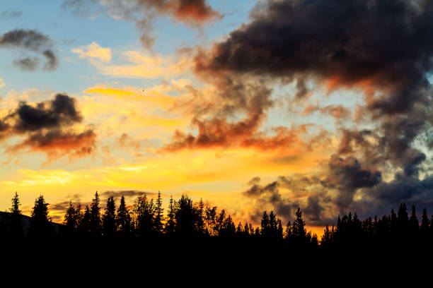 istock hot night in the forest and evening clouds 962520678