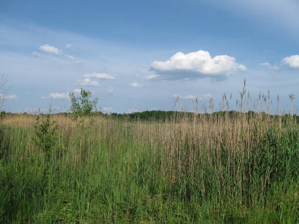 istock On the shore of the lake 962520822